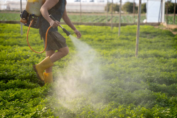 San Pasqual, CA Pest Control Company