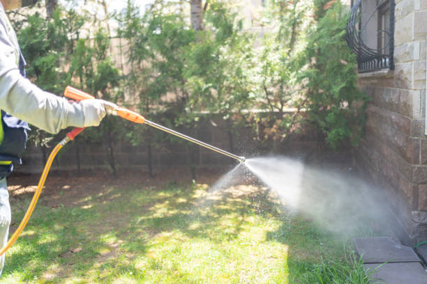 Best Pest Inspection Near Me  in San Pasqual, CA