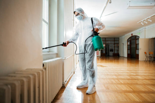 Best Pest Prevention Services  in San Pasqual, CA
