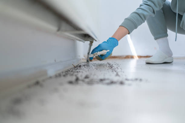 Best Best Pest Control Companies  in San Pasqual, CA